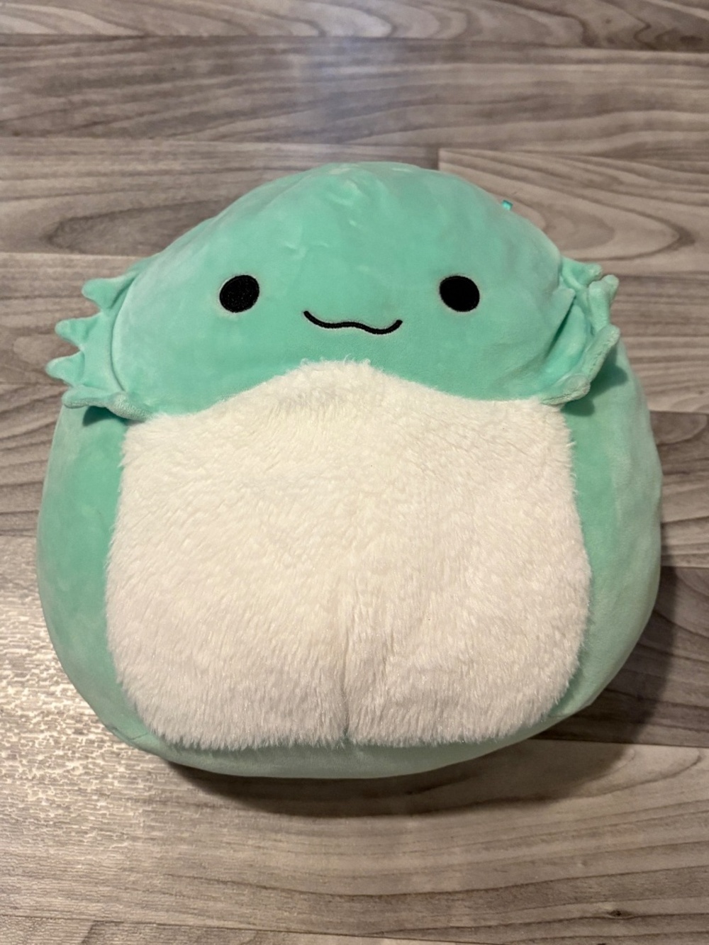 Squishmallow Abe the Bearded Dragon